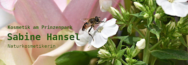 hg_kap2025_bienenbild_me hg_kap2025_bienenbild_me